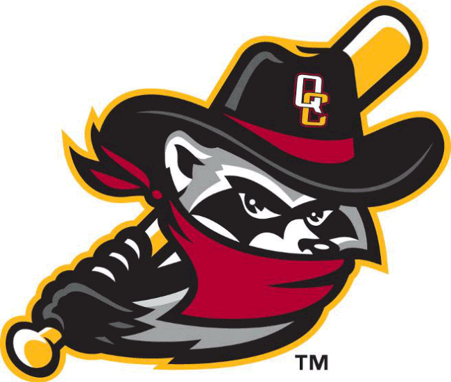 Quad Cities River Bandits 2014-Pres Alternate Logo diy iron on heat transfer